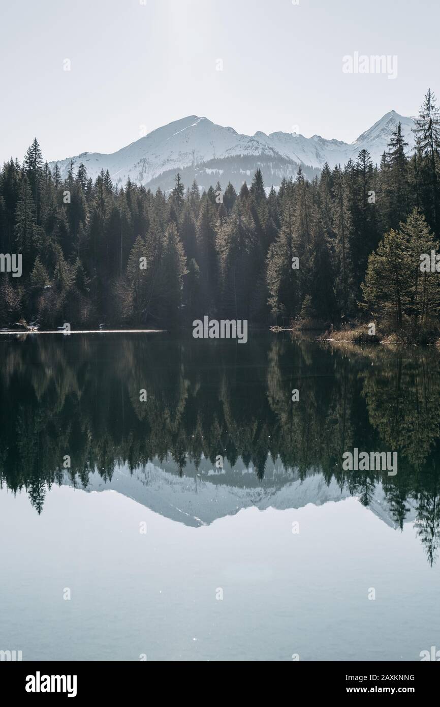 Lake surrounded by mountains and forests with trees reflecting on the ...