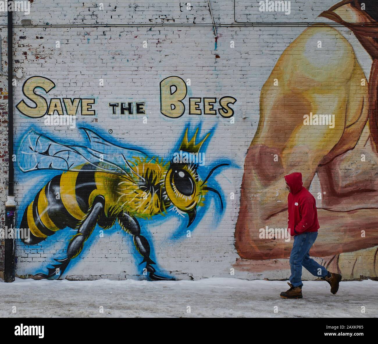 Save the Bees street art is admired by a man walking by wearing blue jeans and colorful red hoodie on downtown street. Stock Photo