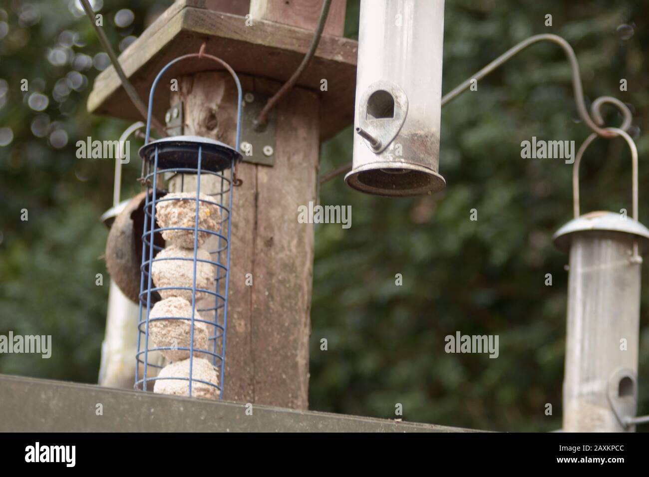 A Closeup Shot Of Bird Feeders Hanging From A Post In A Farm Stock