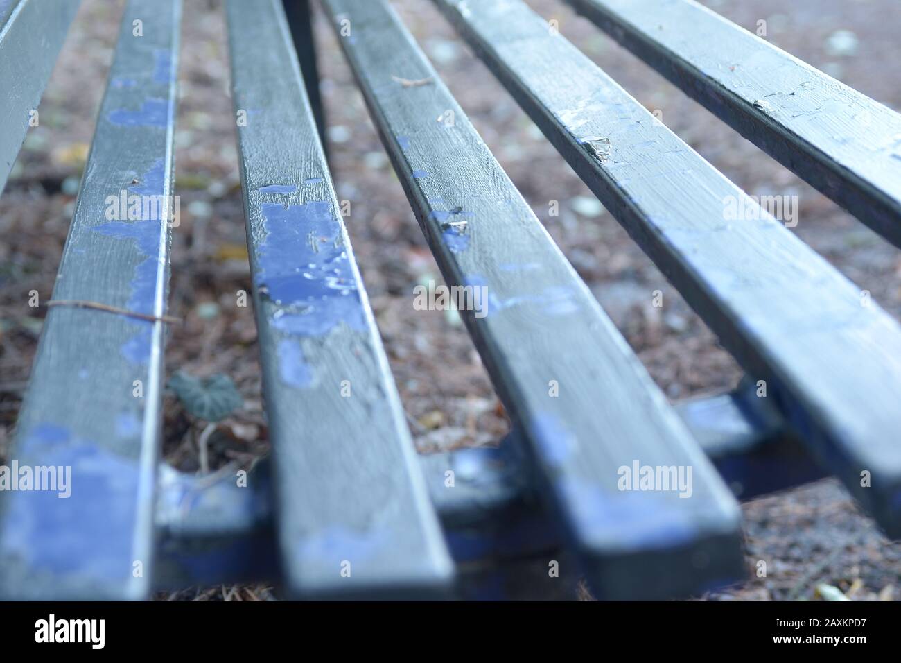 Closeup shot of iron grills with peeling paint Stock Photo Alamy