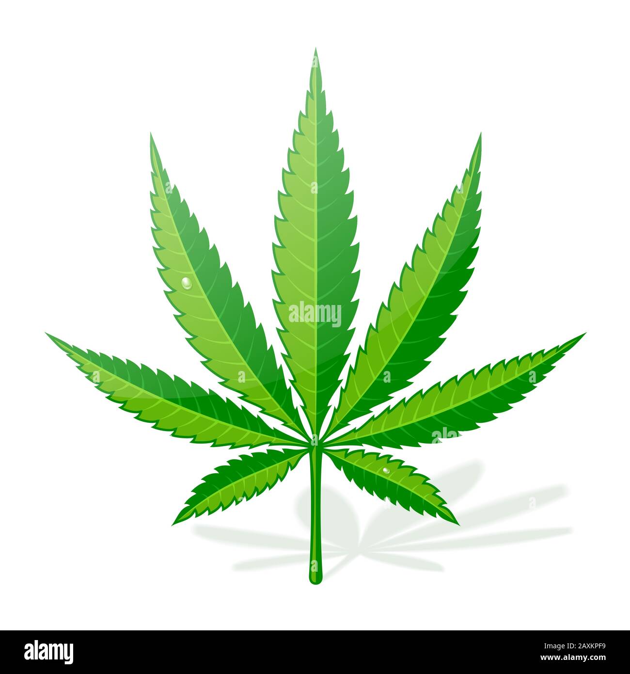 Cannabis Hemp Leaf Flat Icon Stock Vector