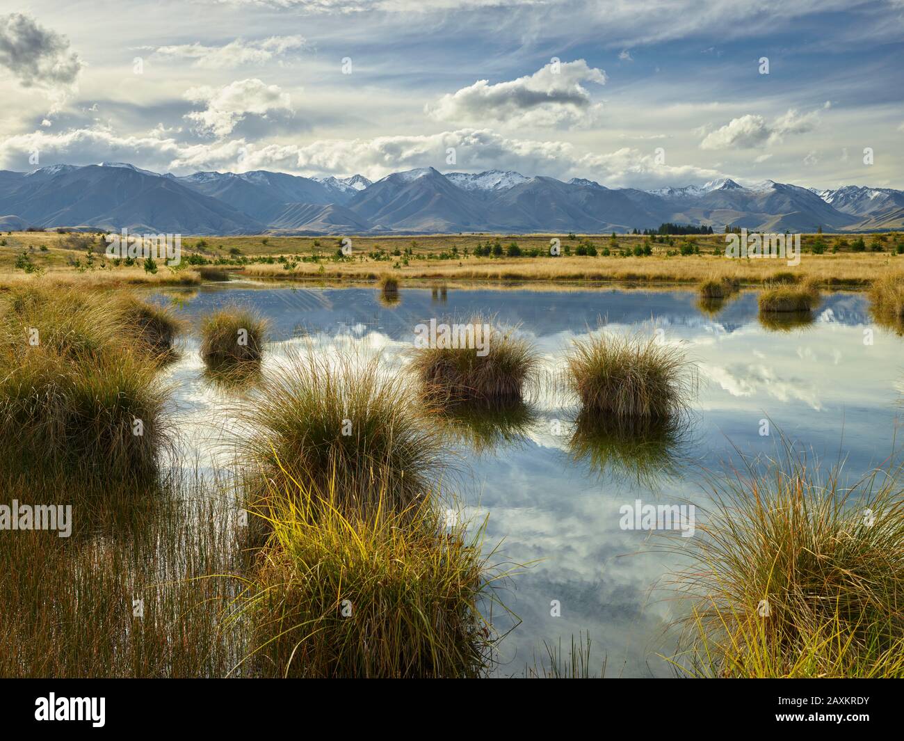 Lake Poaka, Ben Ohau Range, Canterbury, South Island, New Zealand ...