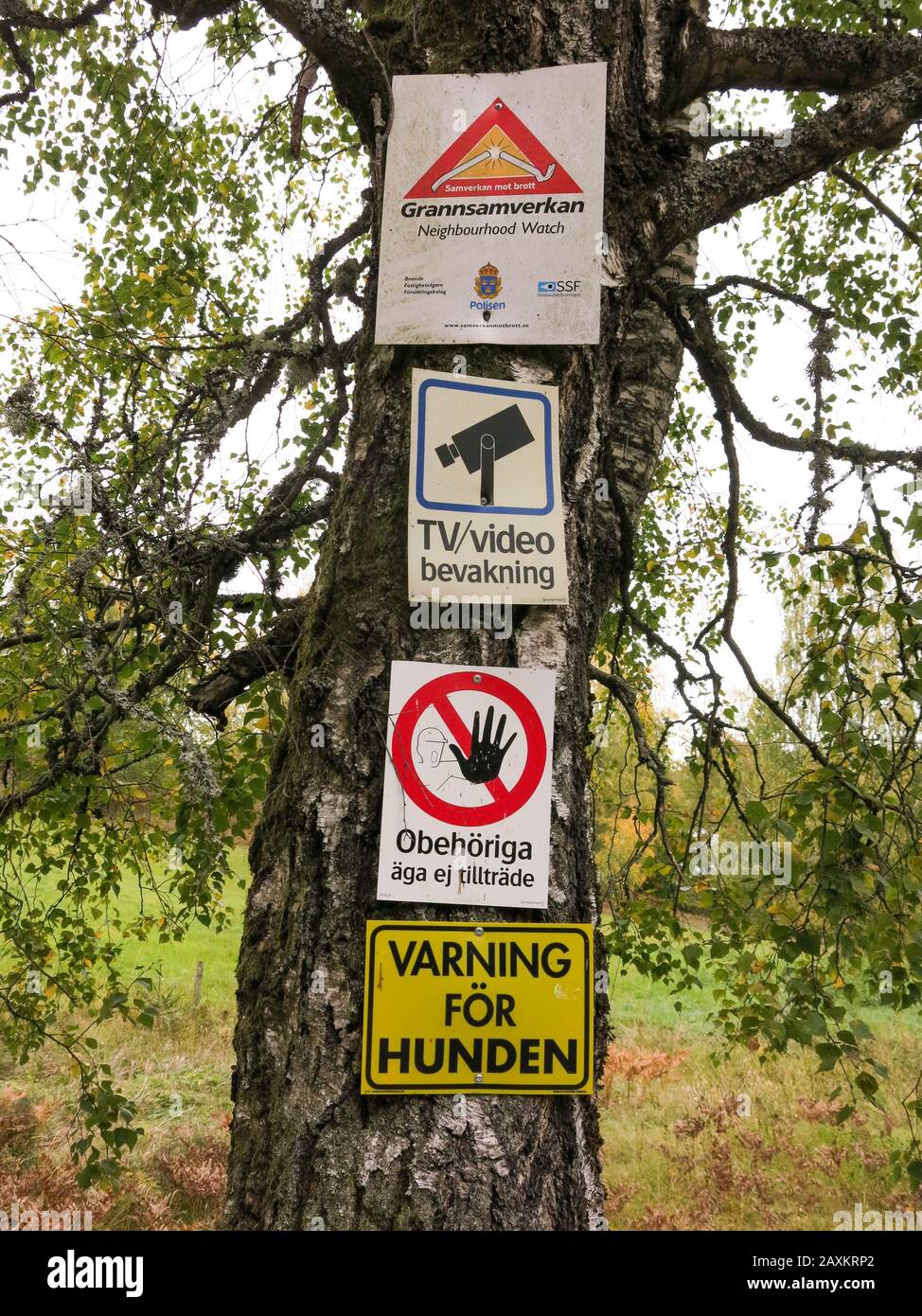 WARNING SIGNS for Crime watch.Perched on trees Stock Photo