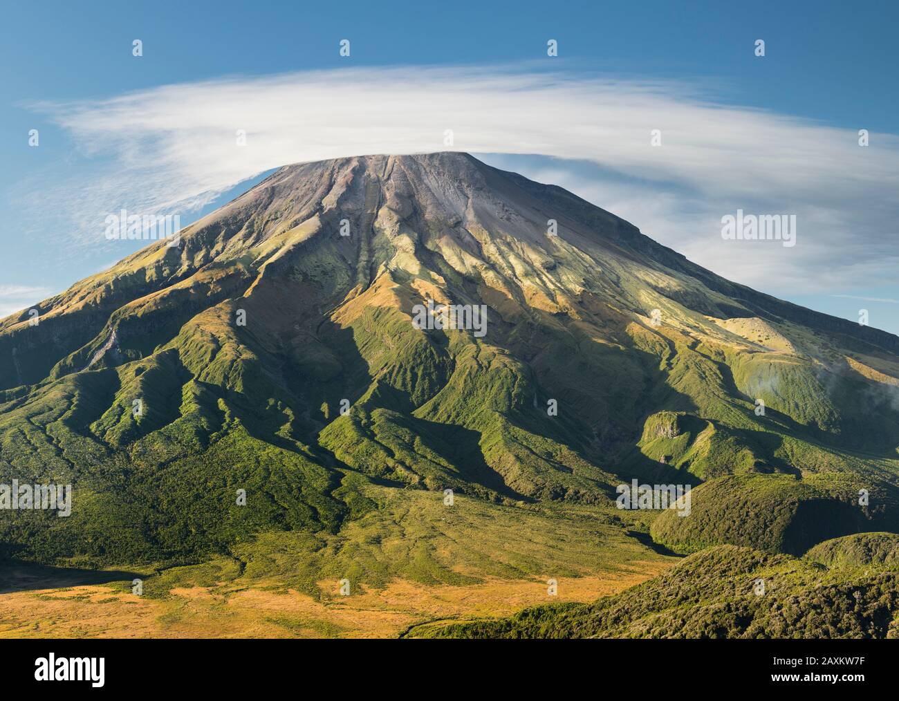 Mount Taranaki, near Pouakai Hut, Egmont National Park, Taranaki, North