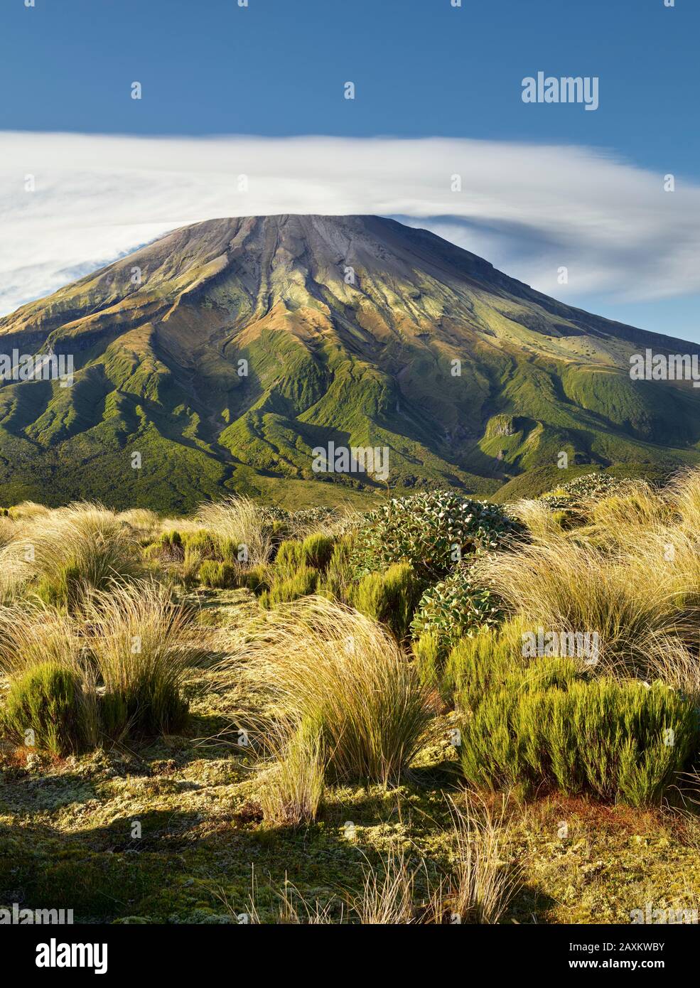 Mount Taranaki, near Pouakai Hut, Egmont National Park, Taranaki, North