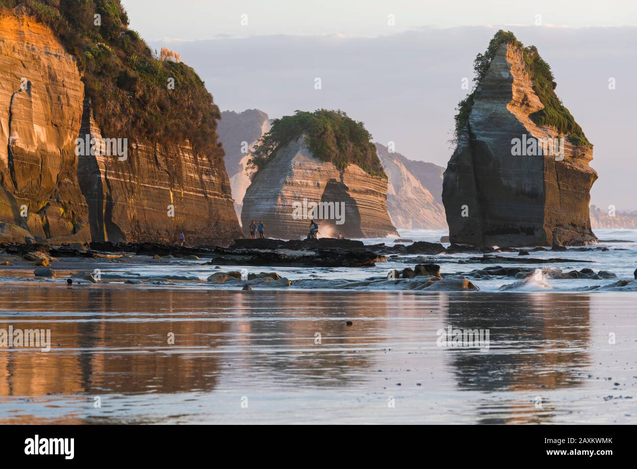 Coast at the Three Sisters, Taranaki, North Island, New Zealand, Oceania Stock Photo