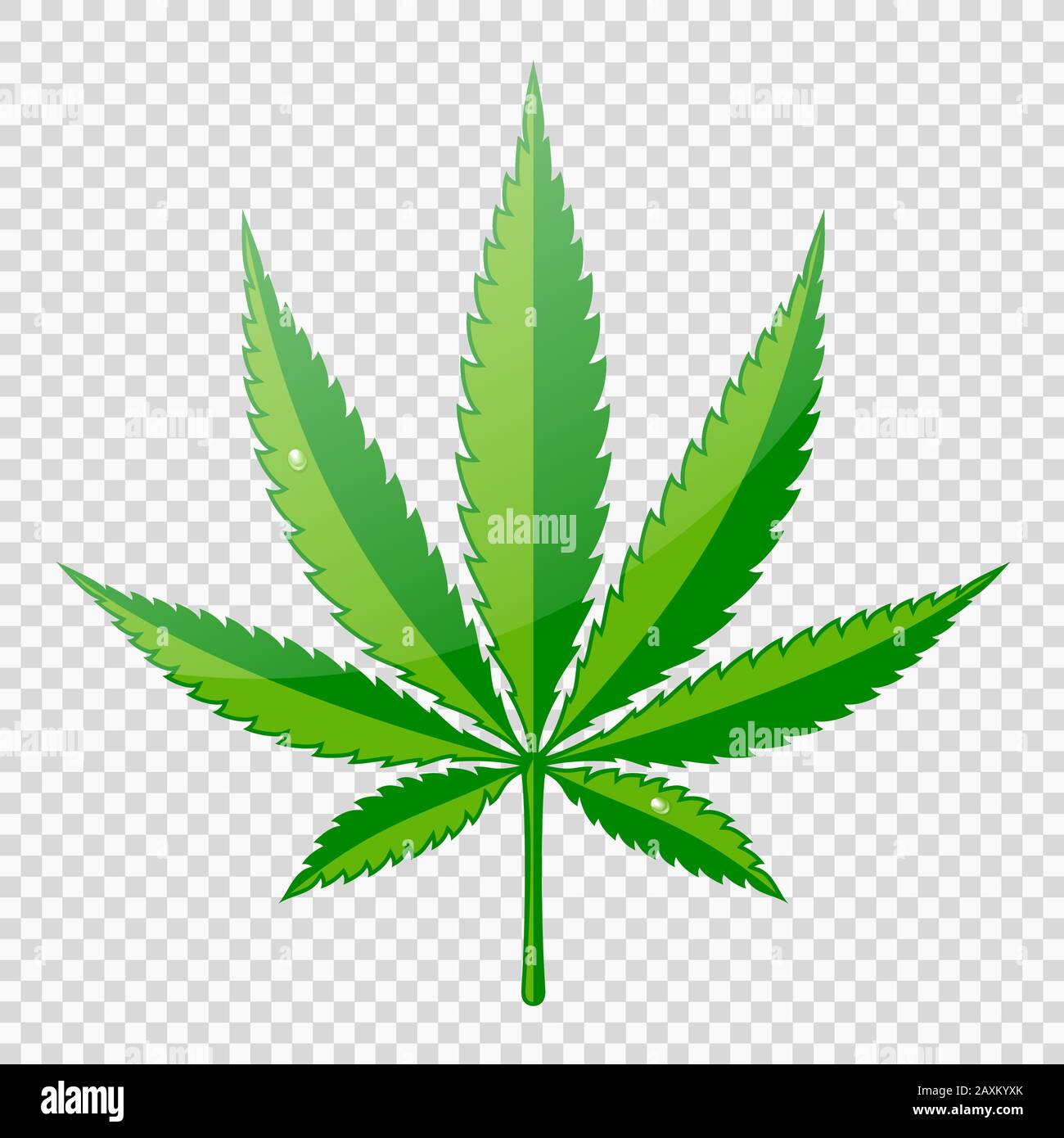 Cannabis Hemp Leaf Flat Icon Stock Vector