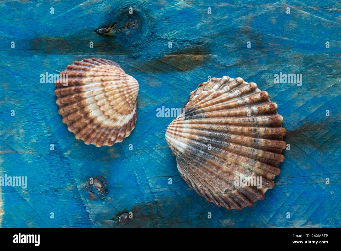 Beachcombing hi-res stock photography and images - Alamy