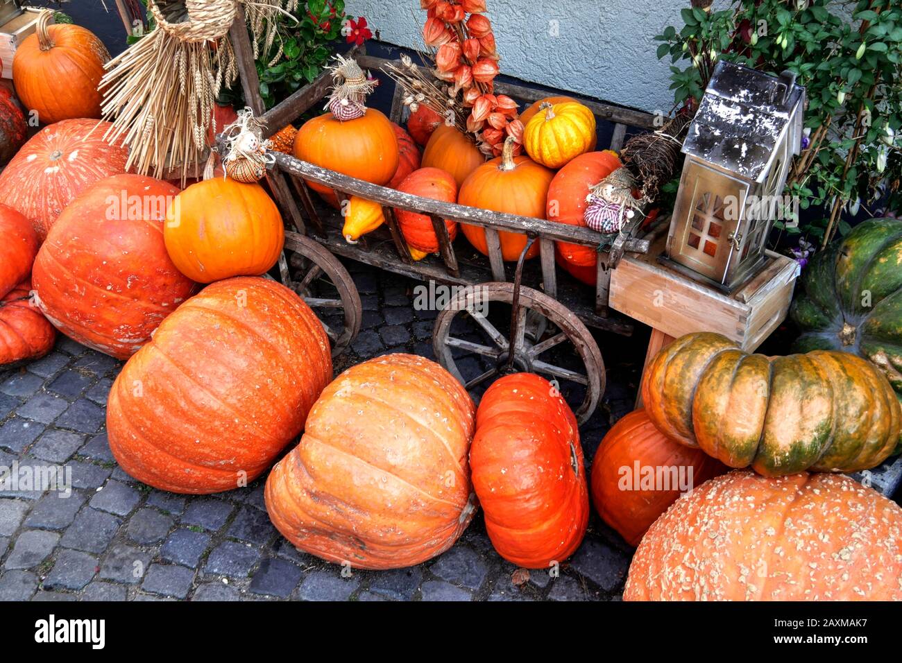 Pumpkin decoration in the Hotel Zur Forelle in Ulm, Baden-Wuerttemberg, Germany Stock Photo