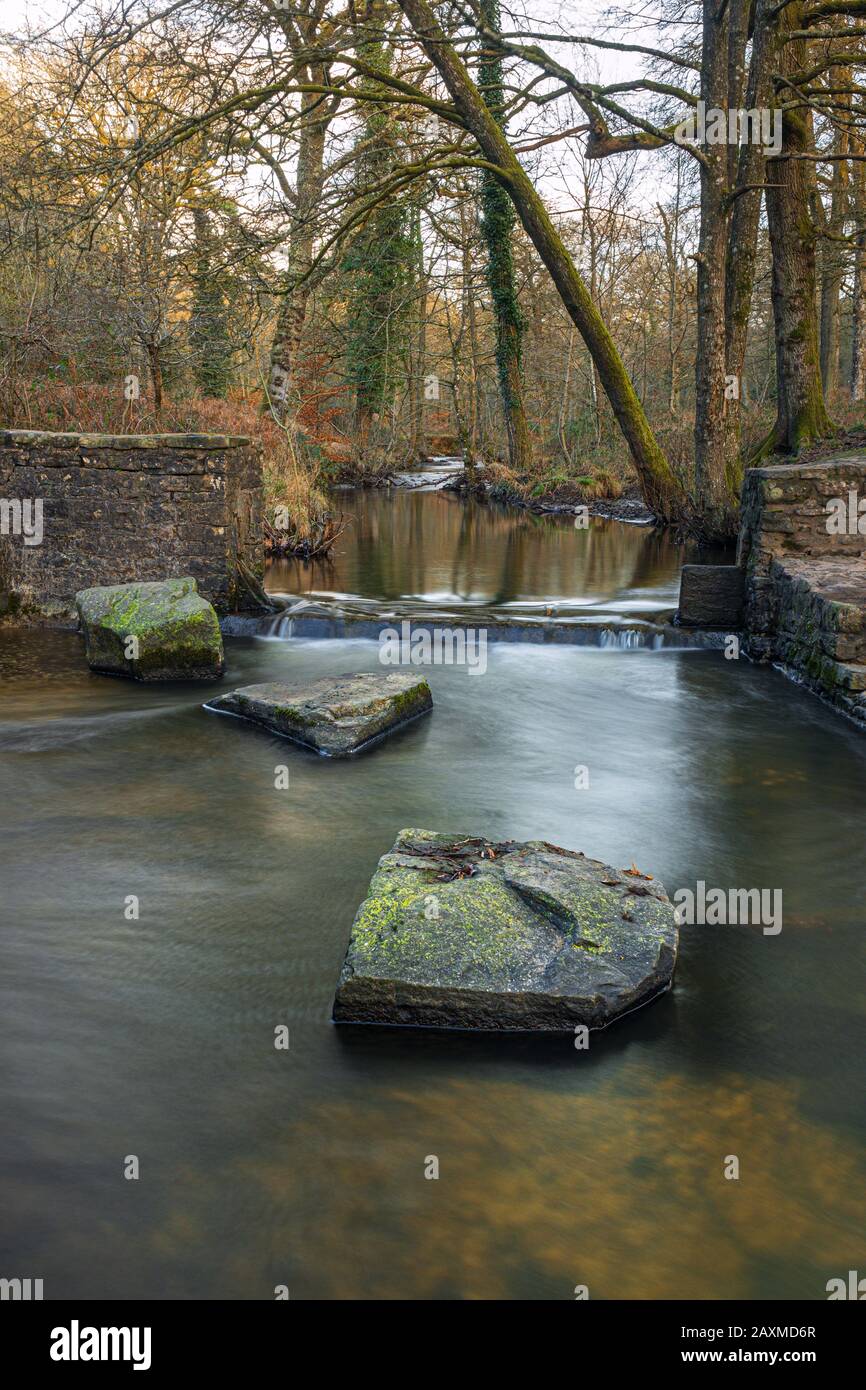 Blackpool Brook at Wenchford picnic area in the Forest of Dean, Gloucestershire, England. Stock Photo