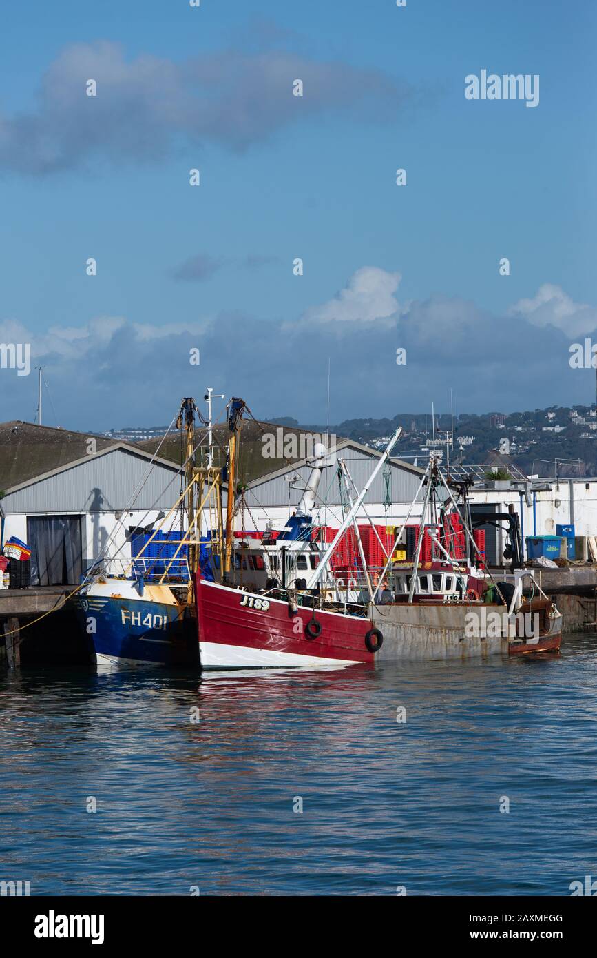Entladen eines Trawlers im Hafen von Brixham, Devon, Großbritannien. // Unloading a trawler in Brixham harbour, Devon, Great Britain. //  Déchargement Stock Photo