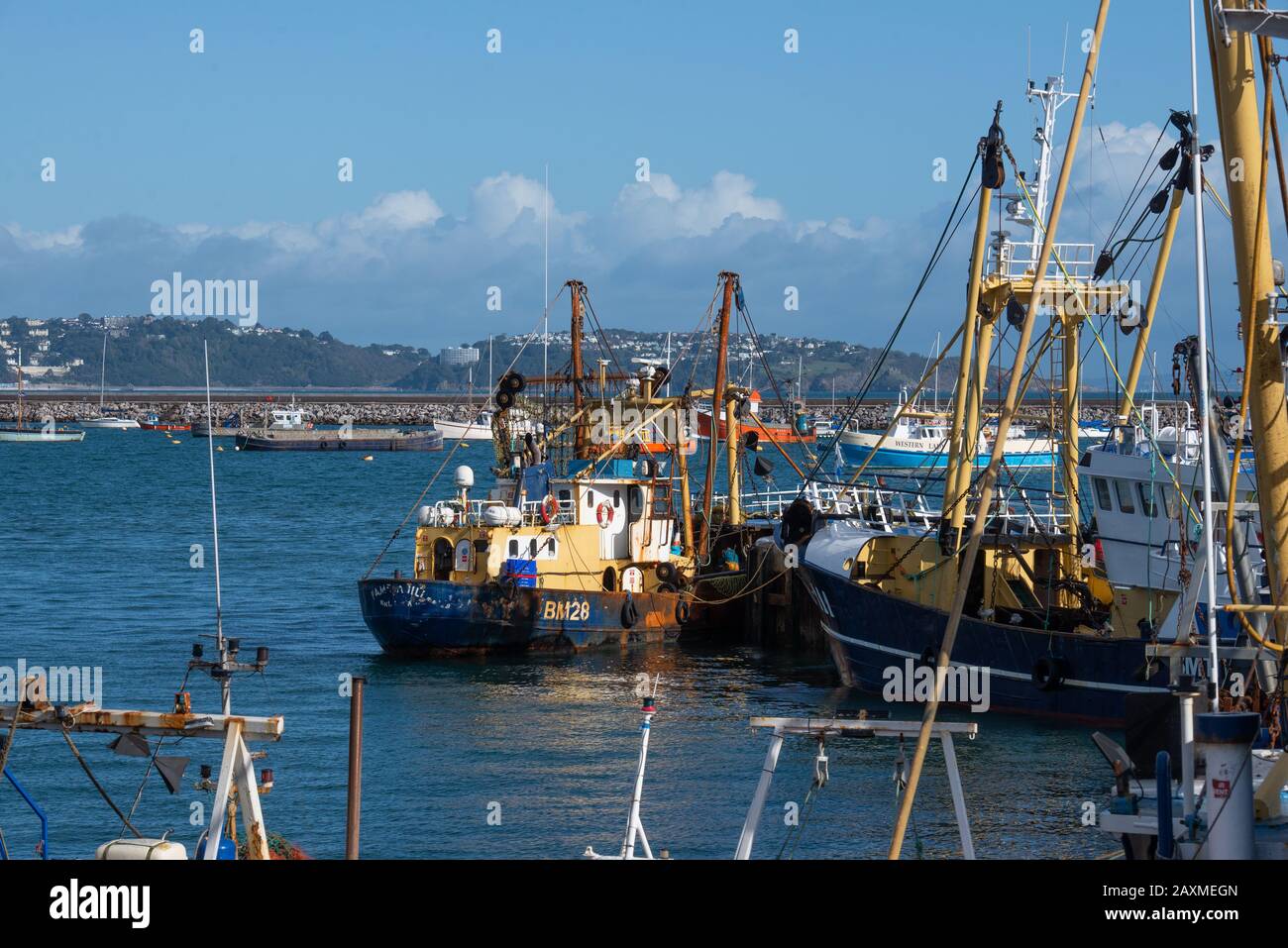 Entladen eines Trawlers im Hafen von Brixham, Devon, Großbritannien. // Unloading a trawler in Brixham harbour, Devon, Great Britain. //  Déchargement Stock Photo