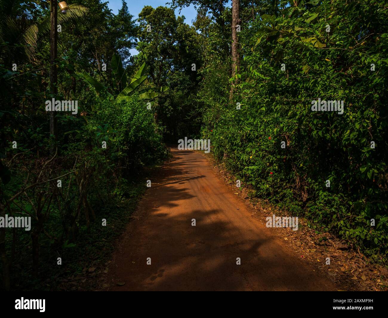 A rural Indian beautiful village red soil path way road beside grassland field trees to horizon Stock Photo