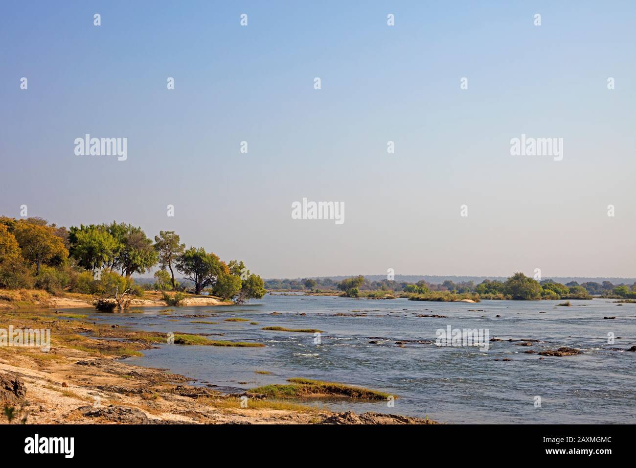 Zambezi River With Riparian Zone Sandbank And Growth On The Opposite Bank Thick Gallery Forest Zambezi National Park Zimbabwe Stock Photo Alamy