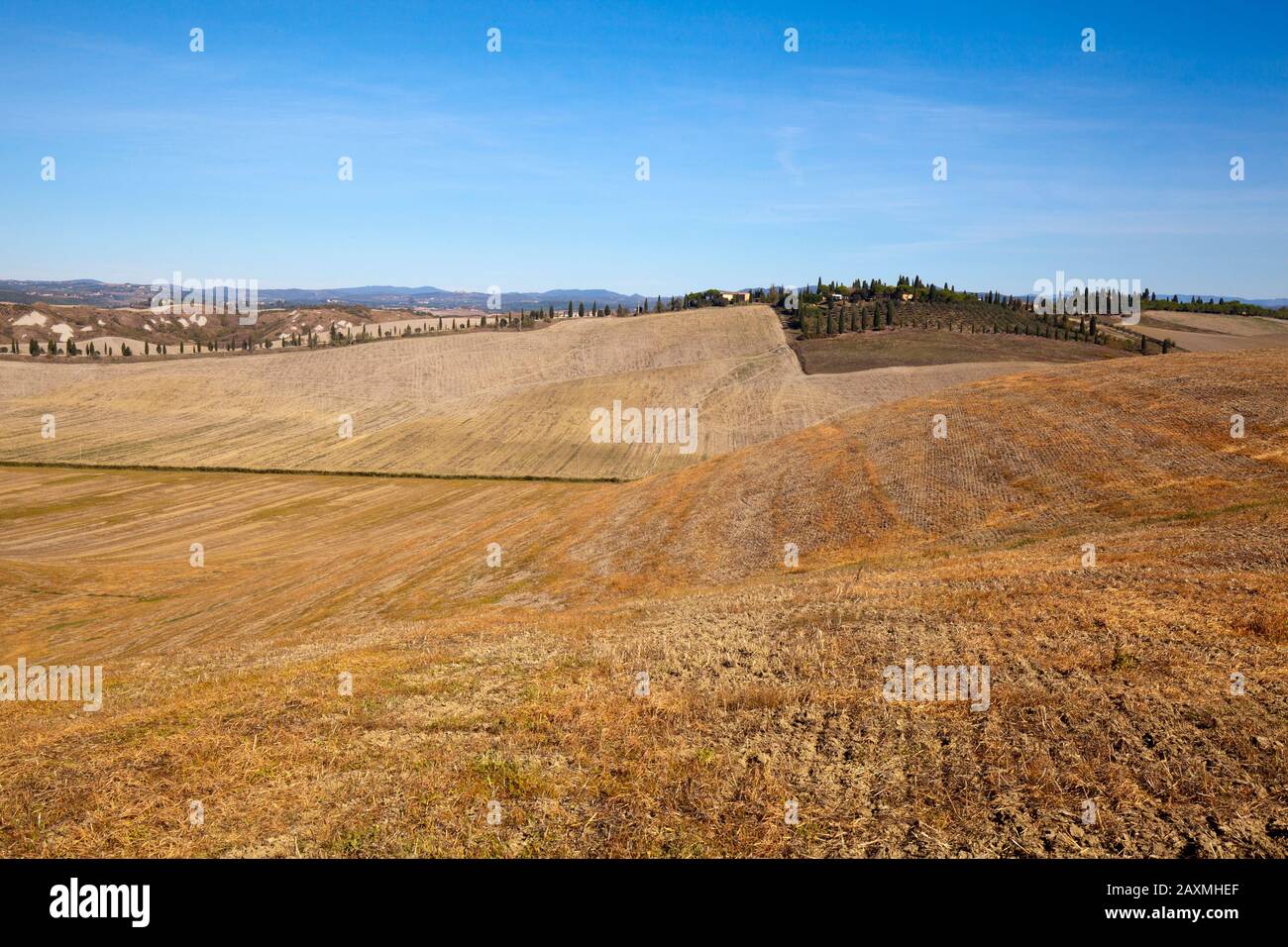 Scenery in the Crete Senesi with rows of cypresses Stock Photo