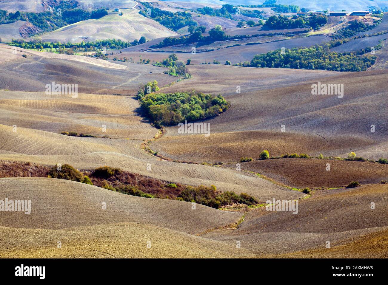 Scenery in the Crete Senesi Tuscany Stock Photo