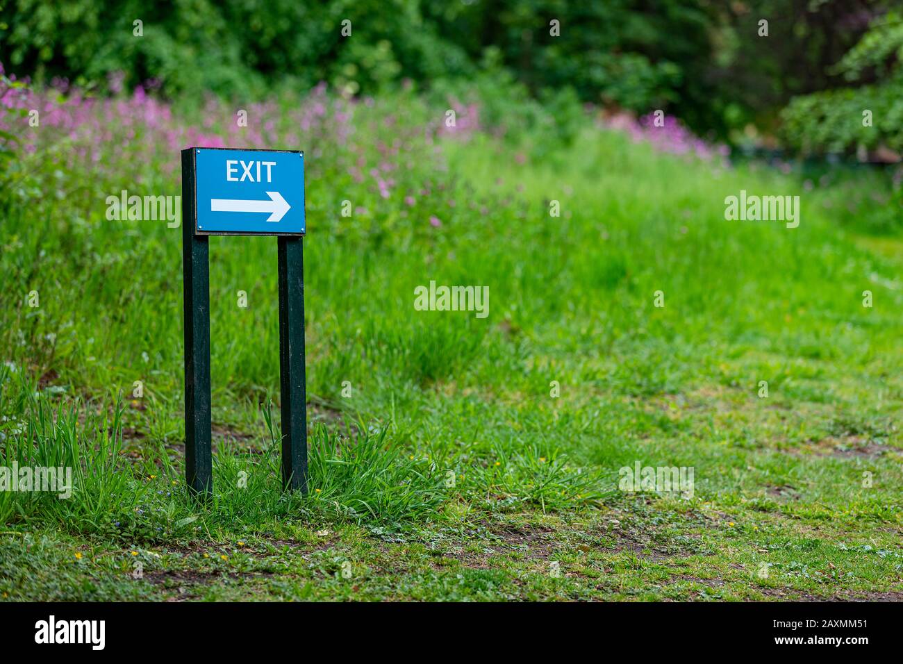 Exit sign taken in Lancashire England during the spring / summer Stock Photo