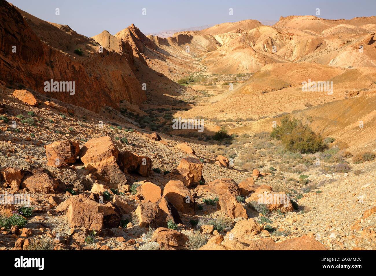 Desert and mineral landscape above the oasis of Chebika near Nefta, Tunisia Stock Photo