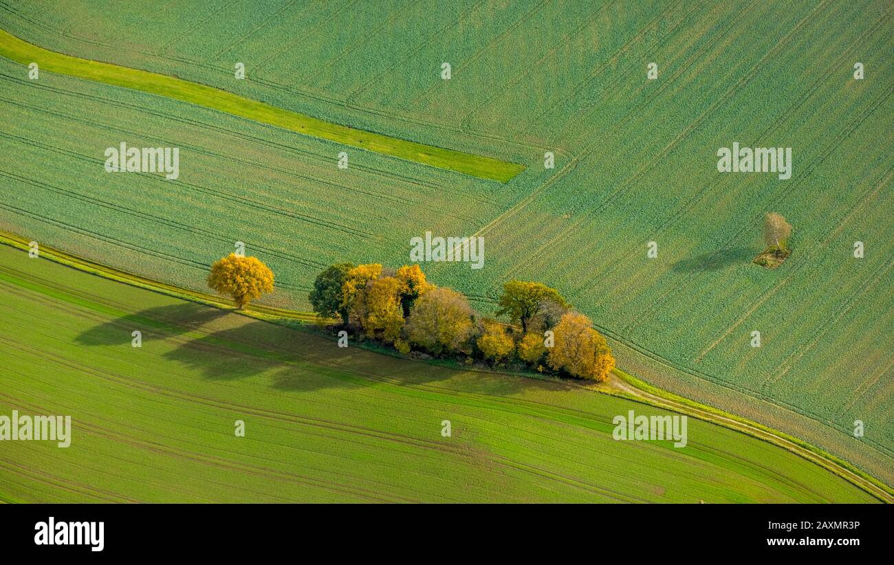 Aerial view of acre hi-res stock photography and images - Alamy