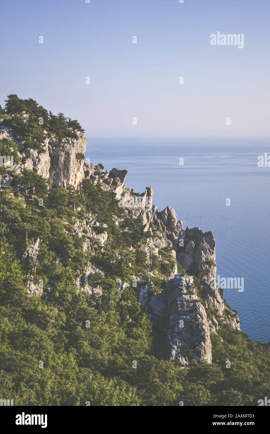 rocky mountain near the sea covered with trees Stock Photo