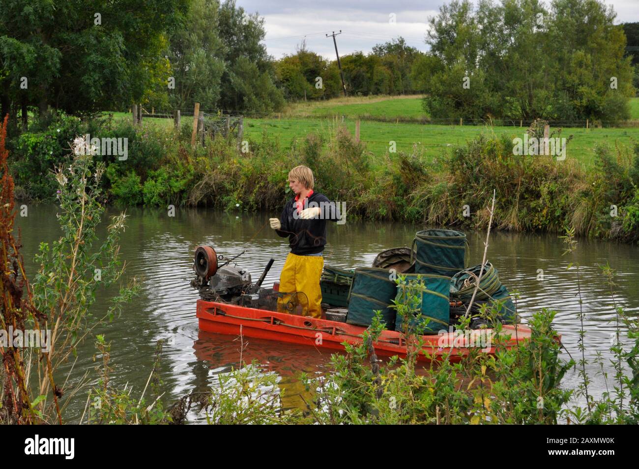 A licensed fisherman fishing for American crayfish in the river Thames in Oxfordshire, UK Stock Photo