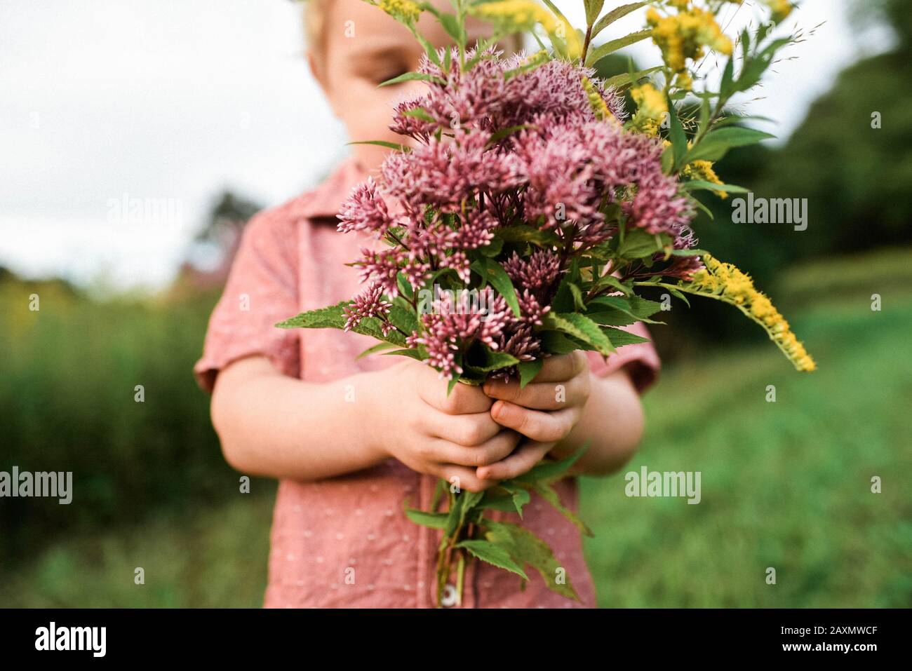 Hand Picked Flowers High Resolution Stock Photography And Images Alamy