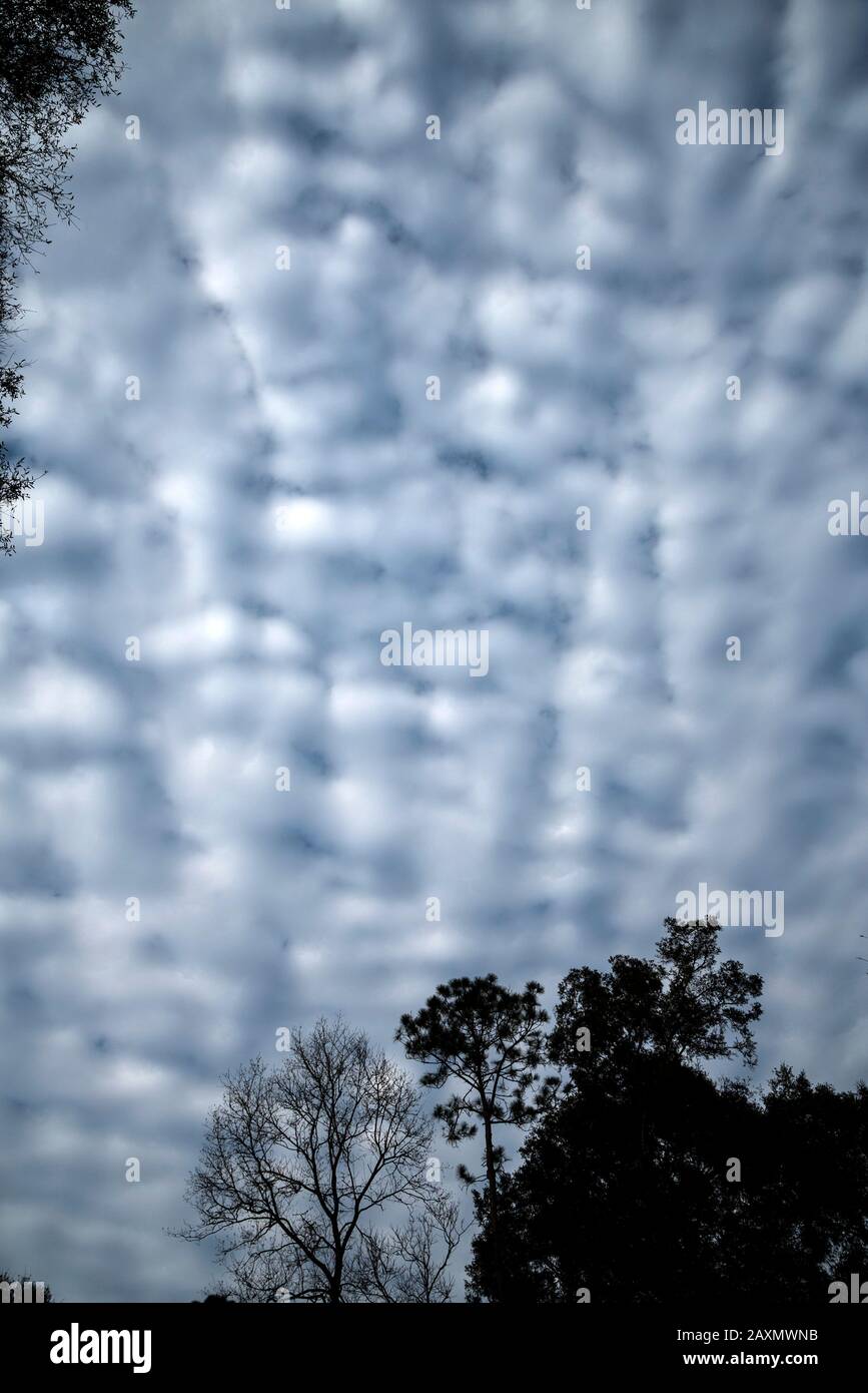 Stratocumulus clouds are a combination of two cloud types:  stratus & cumulus, and indicative of atmospheric instability. Stock Photo