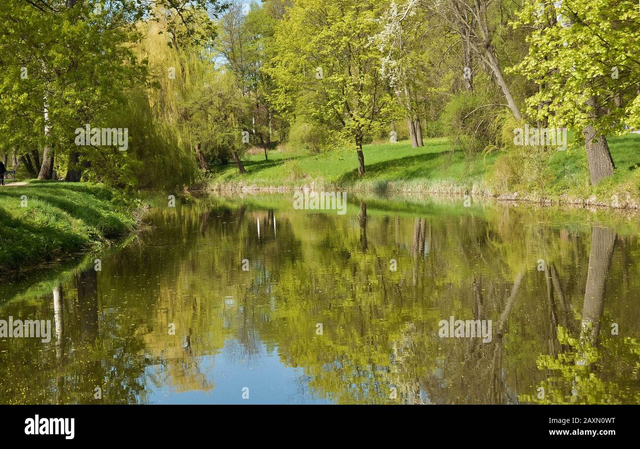 landscape spring lake, trees and grass, reflection in water Stock Photo