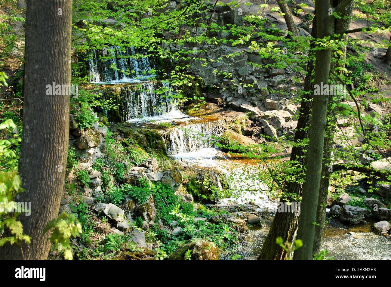waterfall on the rocks around which grow trees with green leaves and grass Stock Photo