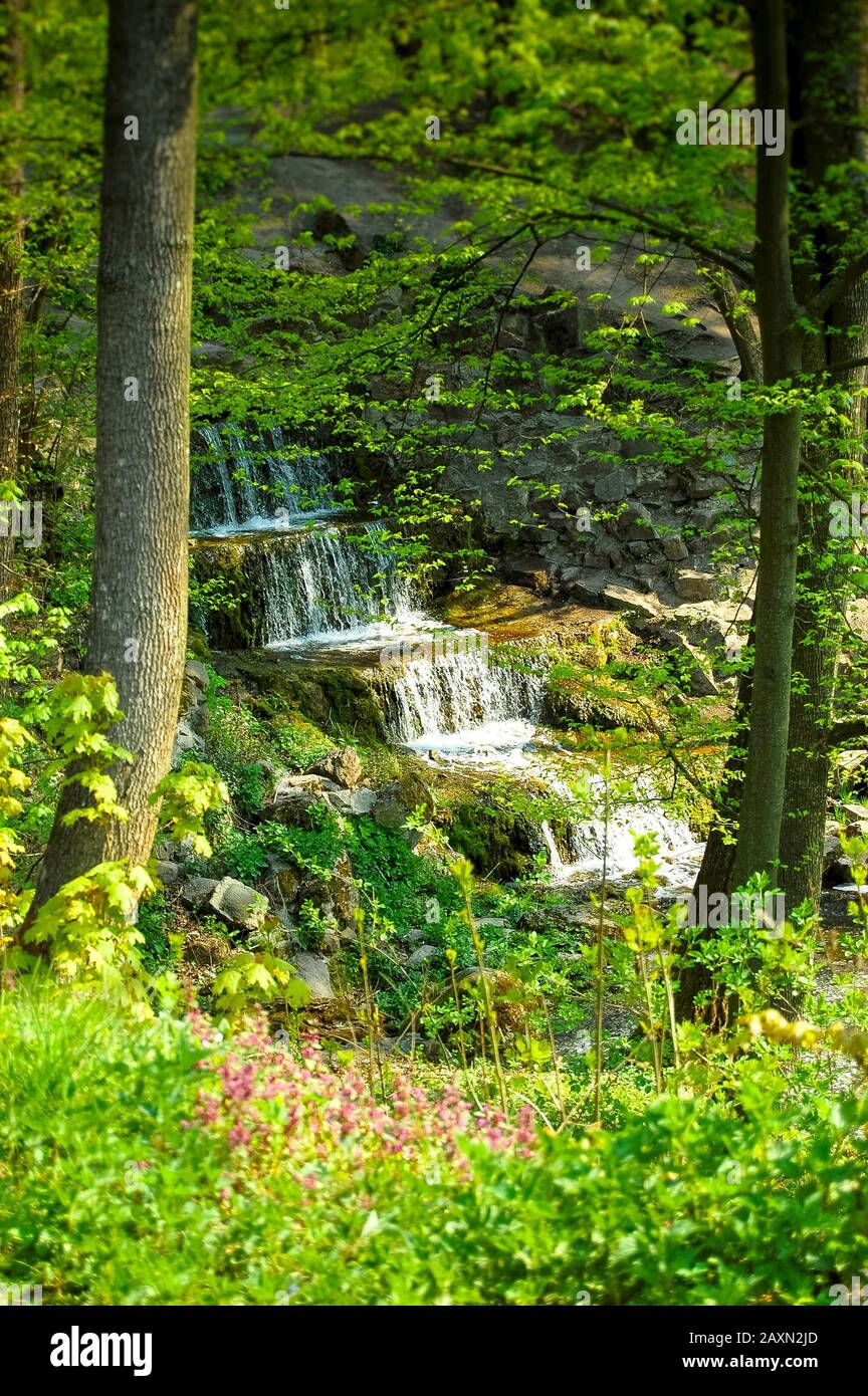 Waterfall on the rocks around which grow trees with green leaves and grass Stock Photo
