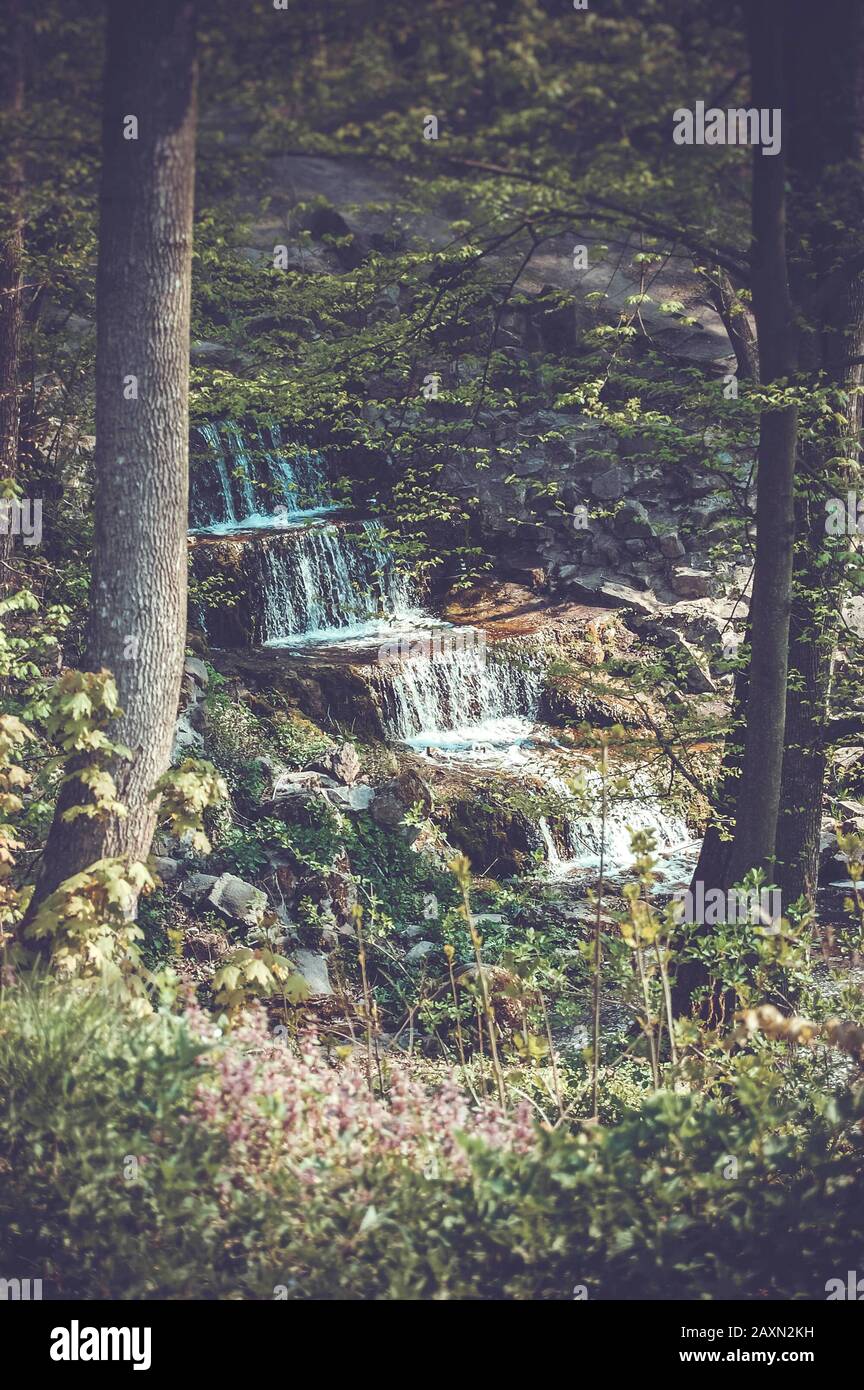 Waterfall on the rocks around which grow trees with green leaves and grass, dark Vintage filter Stock Photo
