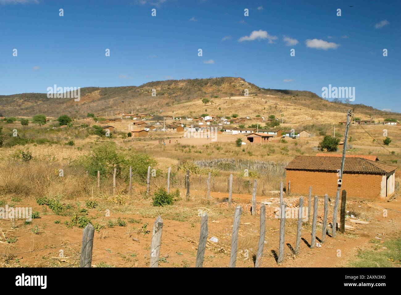Caracol Piauí fonte: c8.alamy.com Fonte: c8.alamy.com