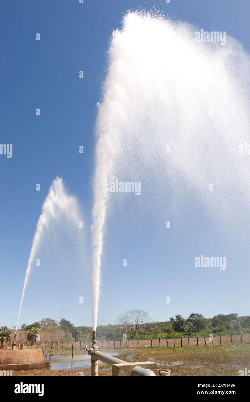 Cristino Castro Piauí fonte: c8.alamy.com Fonte: c8.alamy.com
