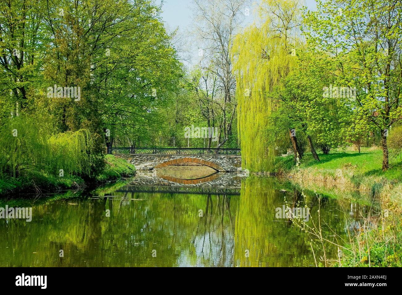 low stone bridge over a pond of water among the trees with bright green leaves in spring park Stock Photo