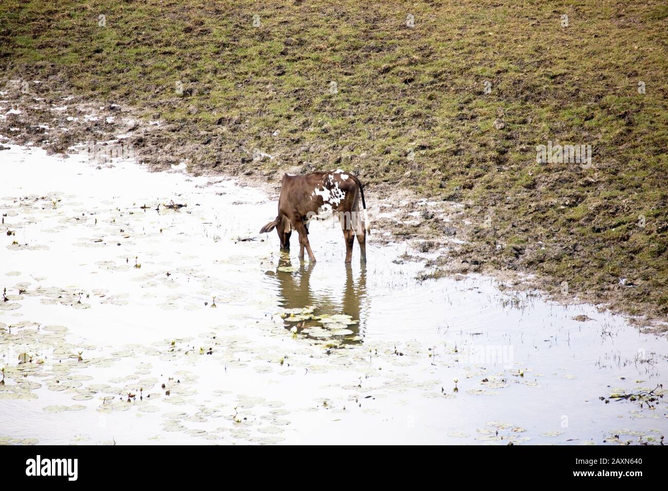 Boa Nova Bahia fonte: c8.alamy.com