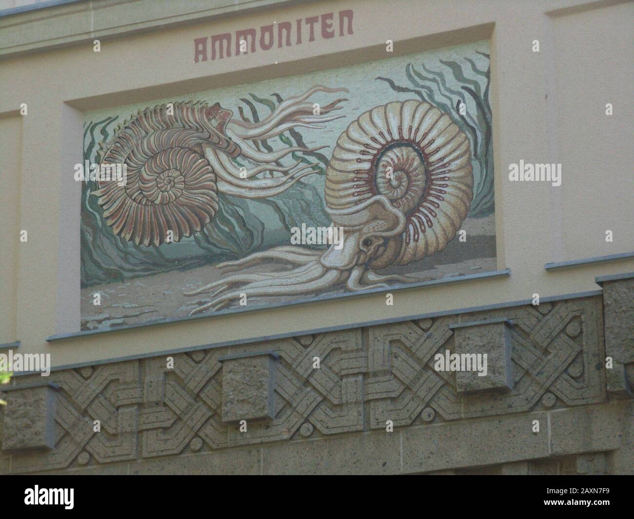 'English: Heinrich Harder (1858 – 1935) mural of Ammonites (an extinct group of marine invertebrate animals in the subclass Ammonoidea of the class Cephalopoda) at the Berlin Aquarium. Painted between 1913 and 1915. Heinrich Harder (2 June 1858 Putzar – 5 February 1935 Berlin) was a German artist and an art professor at the Prussian Academy of Arts in Berlin. Deutsch: de:Aquarium Berlin; 8 March 2010; Own work; Notafly; ' Stock Photo