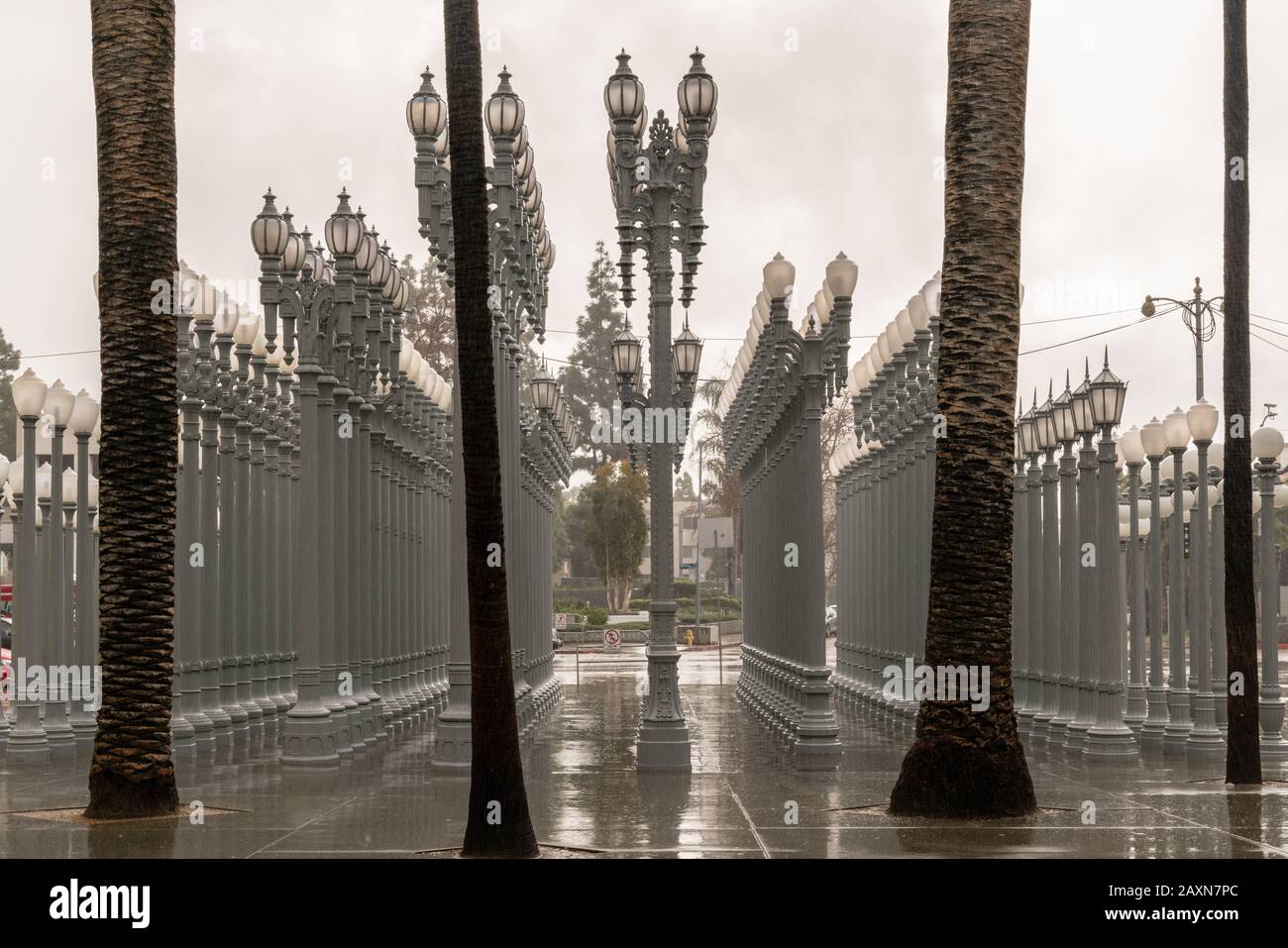 Urban Light, Los Angeles, California Stock Photo Alamy