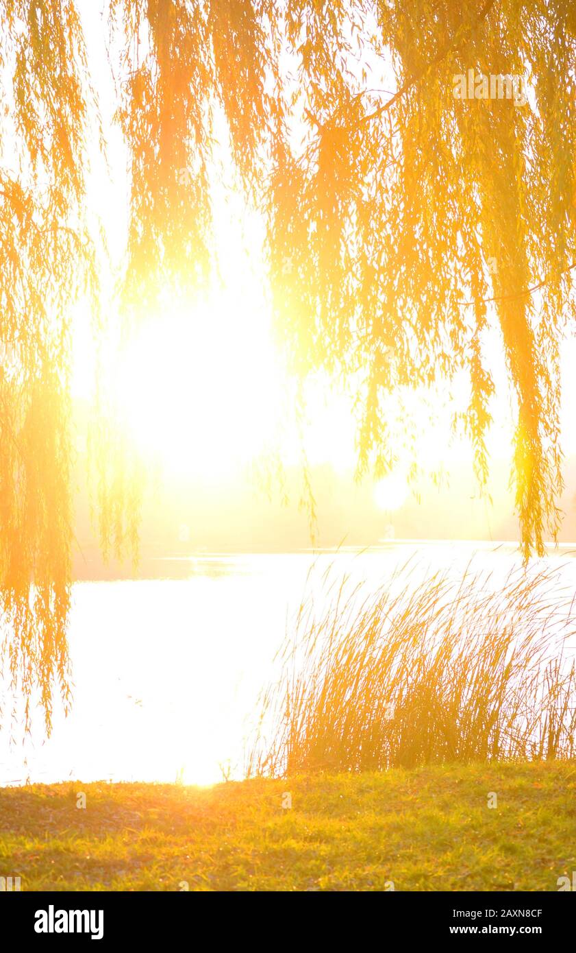 overexposed sun enlightened through the branches of trees on the banks of the river in autumn Stock Photo