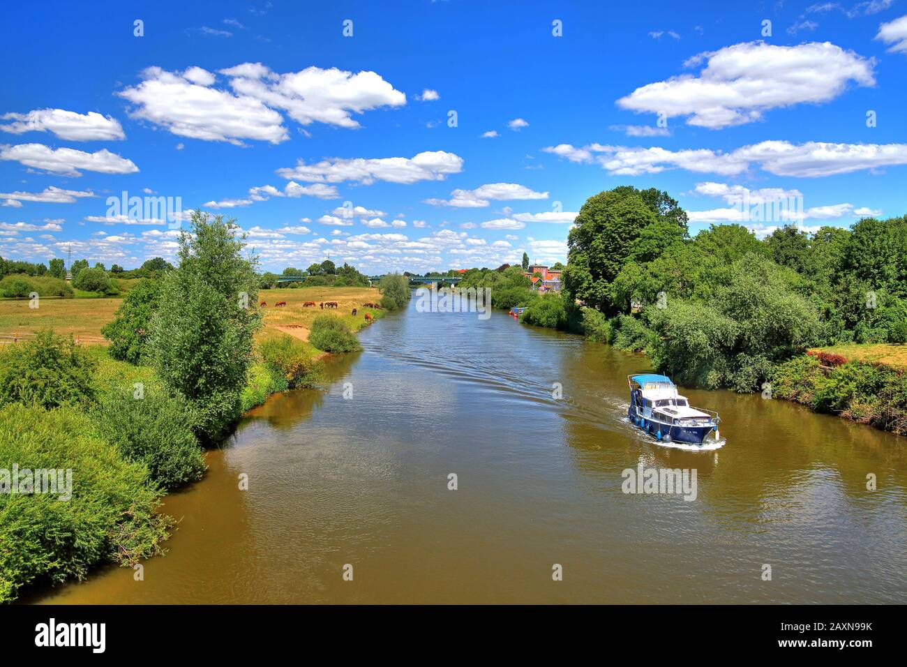 River scenery all near the city centre, rider and horse town Verden ...
