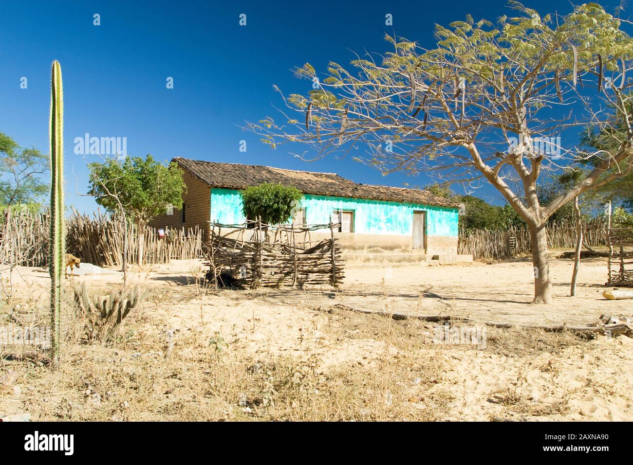 Caracol Piauí fonte: c8.alamy.com Fonte: c8.alamy.com