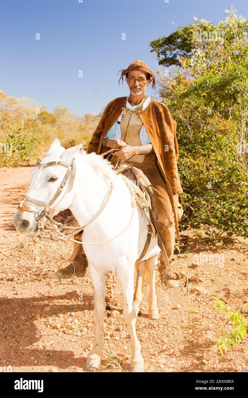Vaqueiro em armadura de couro sertanejo e sua vestimenta sobre cavalo Cowboy in Armor of Leather Cristino Castro Japecanga Piaui Brazil Stock Photo Alamy