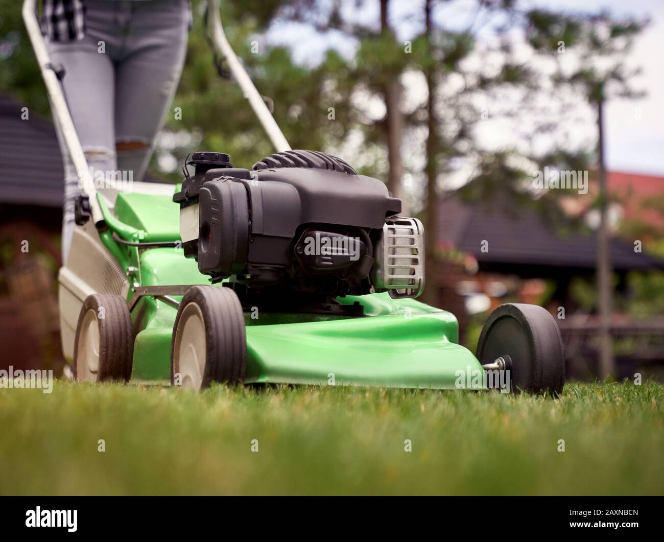 Close up of female legs in jeans of woman using lawn mower on backyard. Selective focus of incognito gardener working in summer, cutting grass in backyard. Concept of gardening, work, nature. Stock Photo