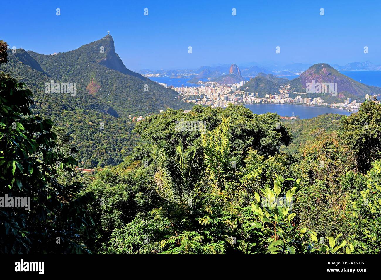 Vista Chinesa in the Tijuca national park with view over the rainforest to the Corcovado 710 m and Sugar Loaf Mountain 396 m, Rio de Janeiro, Brazil Stock Photo