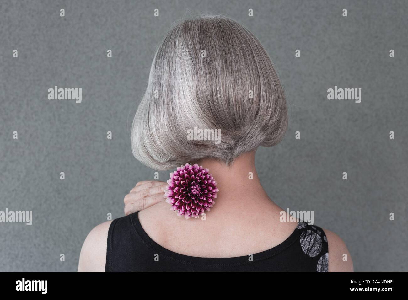 Lady with beautiful silver hair and dark red dahlia, on neutral background. Stock Photo