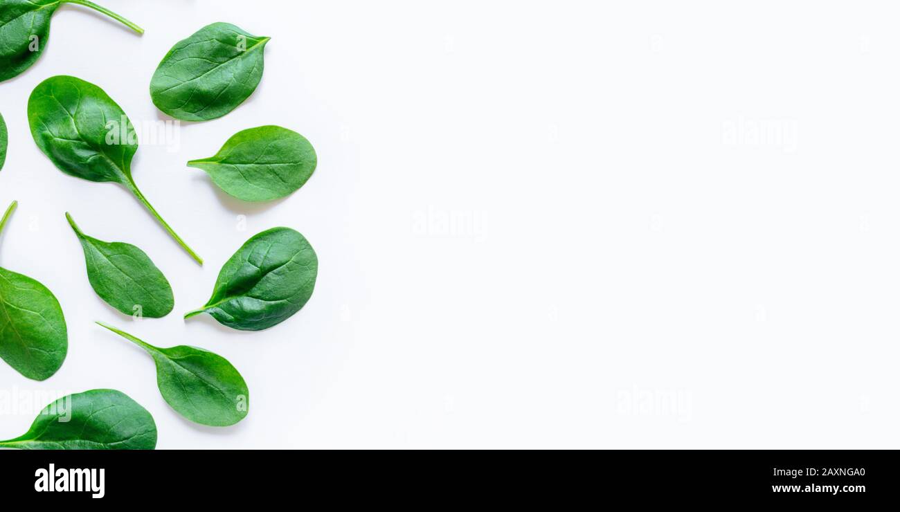 The pattern of spinach leaves on a white background Stock Photo - Alamy