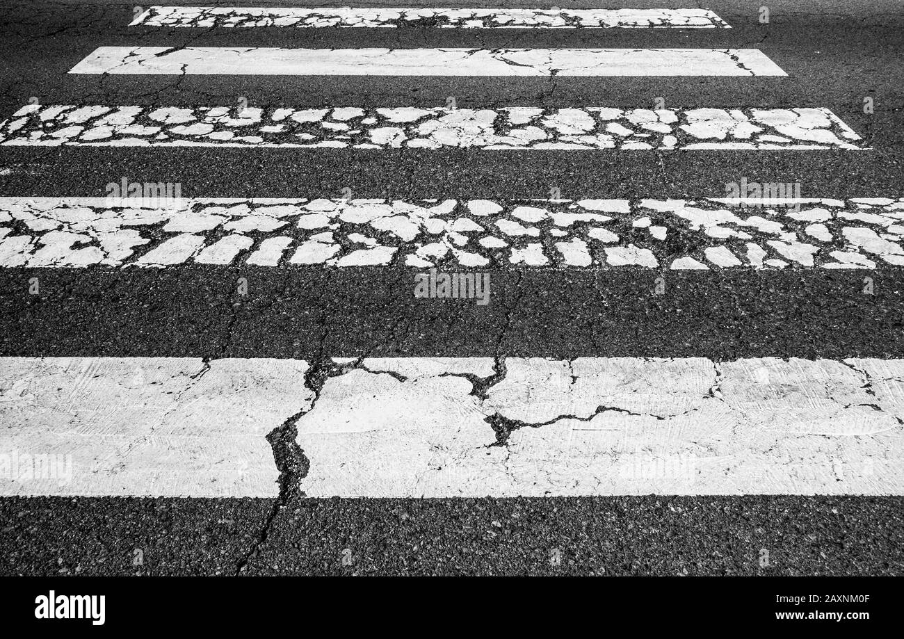 Zeba crossing/pedestrian crossing Stock Photo