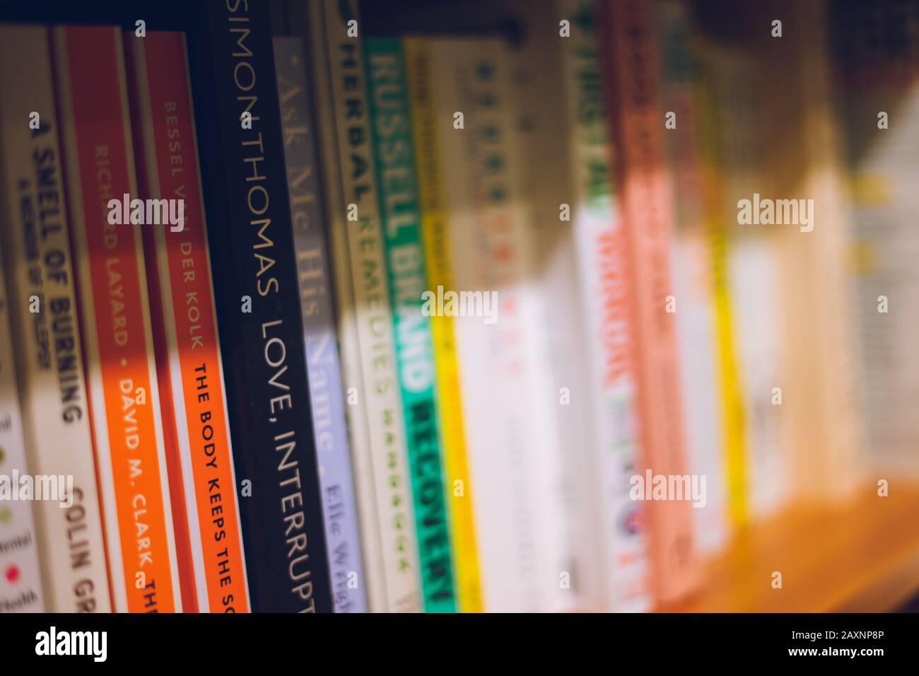 A selection of paperback books on a shelf with the focus on one book Stock Photo