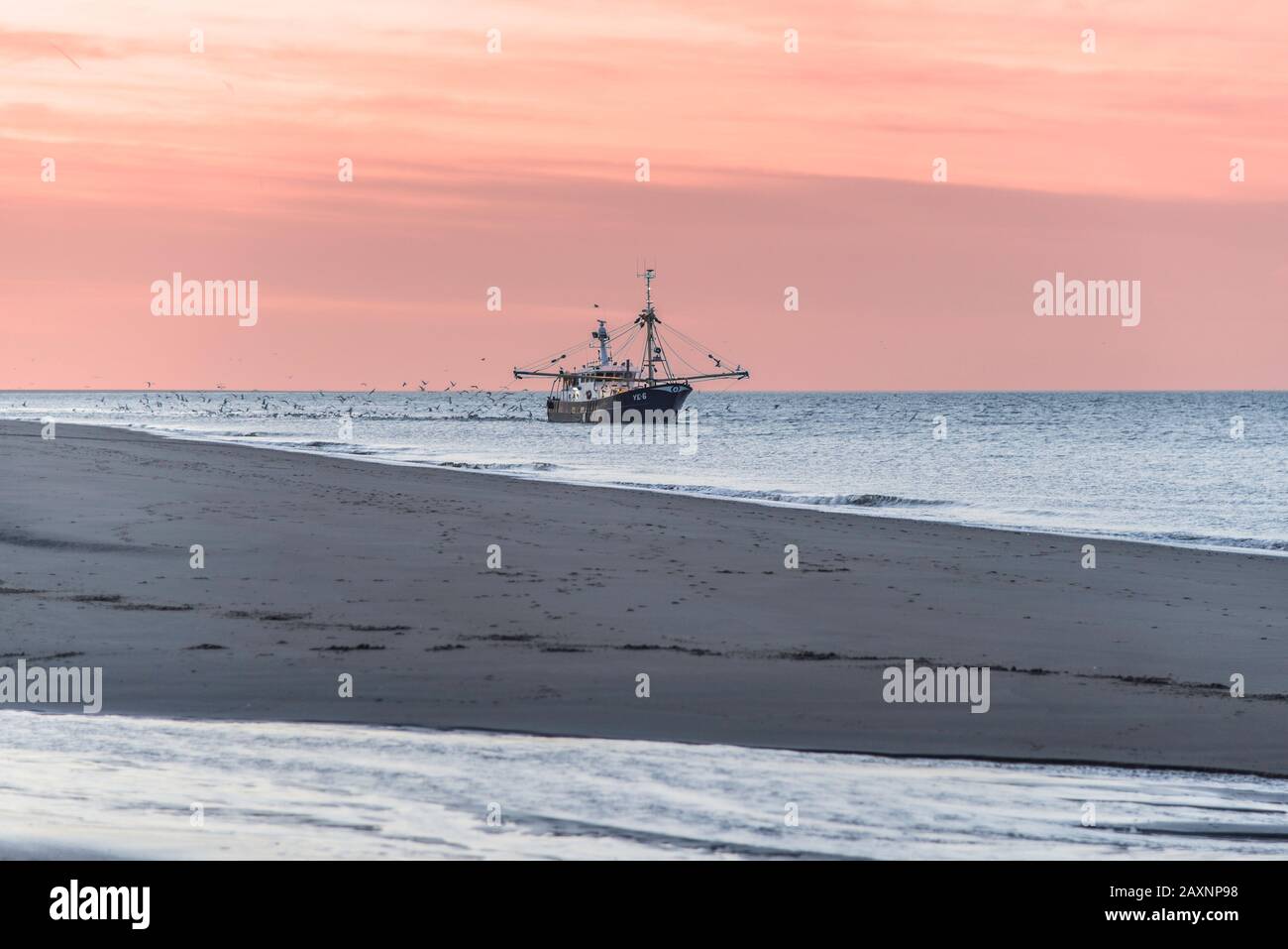 Fishing trawler fishing in the North Sea in the evening Stock Photo - Alamy