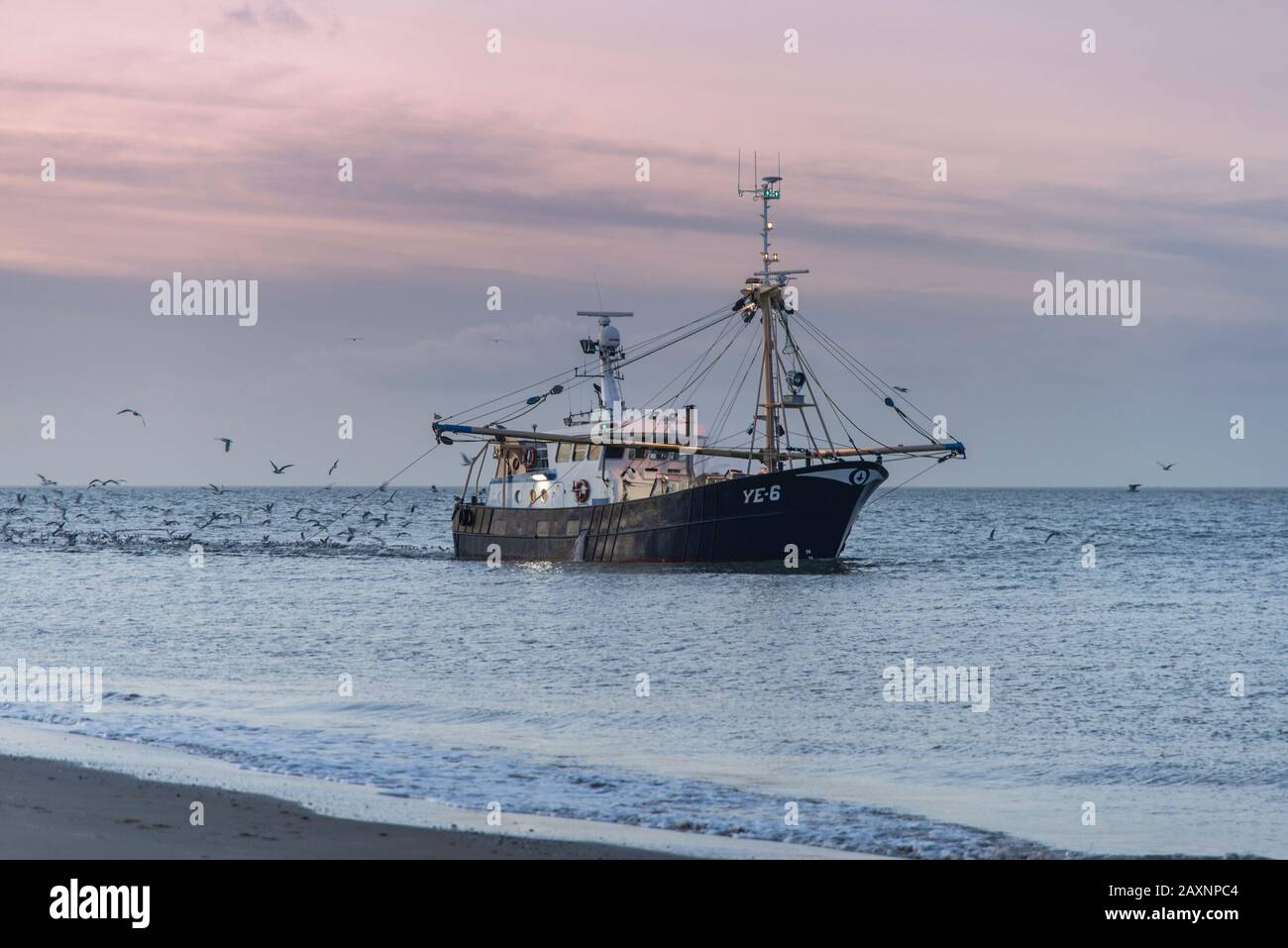 Fishing trawler fishing in the North Sea in the evening Stock Photo - Alamy