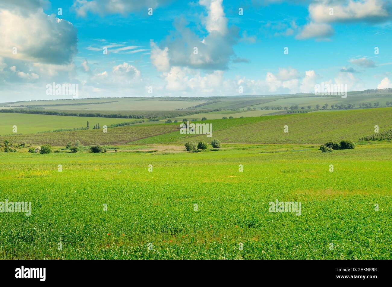 green field and blue sky with light clouds Stock Photo - Alamy